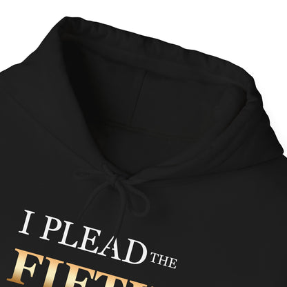 I Plead the Fifth Hoodie — Legal Rights Statement Pullover