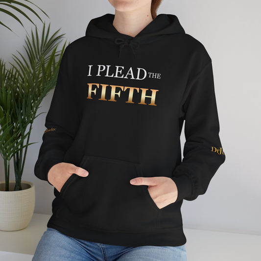 I Plead the Fifth Hoodie — Legal Rights Statement Pullover