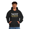 Not Guilty Hoodie — Statement Legal Justice Sweatshirt