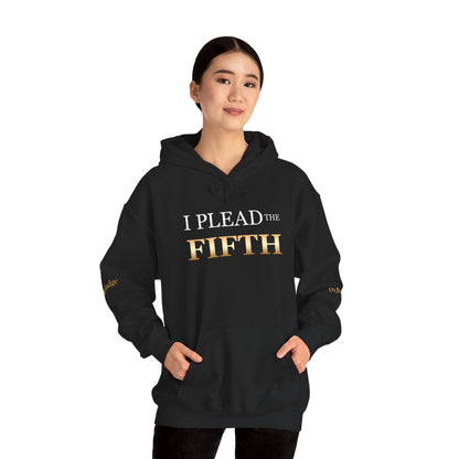 I Plead the Fifth Hoodie — Legal Rights Statement Pullover