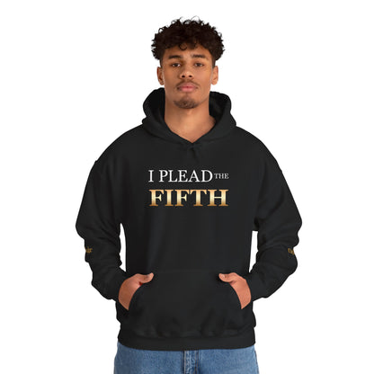 I Plead the Fifth Hoodie — Legal Rights Statement Pullover